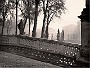 il prato d´autunno (Piero Melloni)